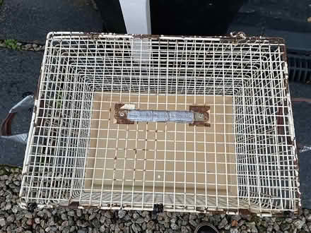 Photo of free Extra Large Cat Basket (Dousland) #1