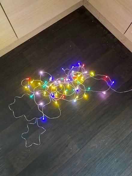 Photo of free Mains powered Christmas lights (Wellington East District Ward TA21) #1