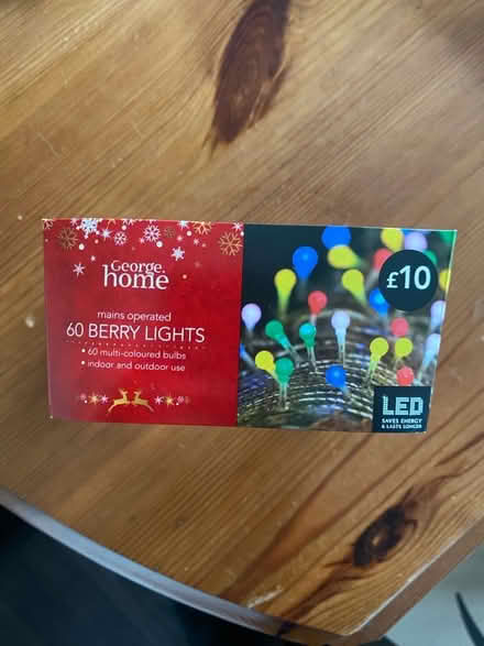 Photo of free Mains powered Christmas lights (Wellington East District Ward TA21) #3