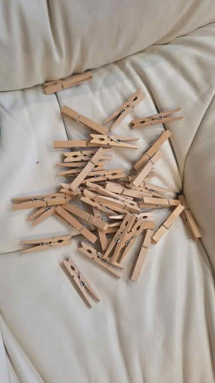 Photo of free Wooden clothes pegs (Frimley) #1