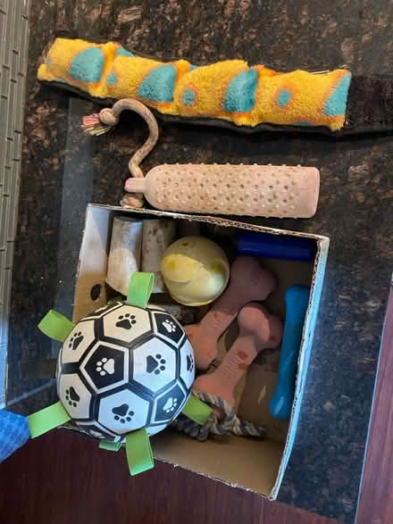 Photo of free Dog toys (Montebello) #1