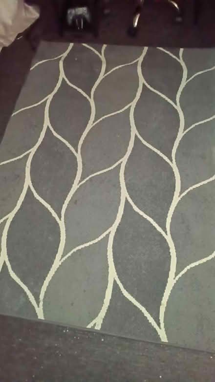 Photo of free Rug (Leeds 9 LS9) #1