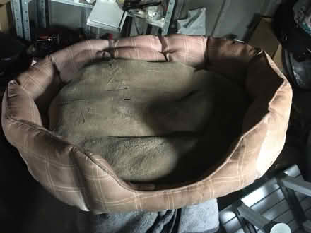 Photo of free 2 Medium Dog Beds and Large Throw (Lexden CO3) #3