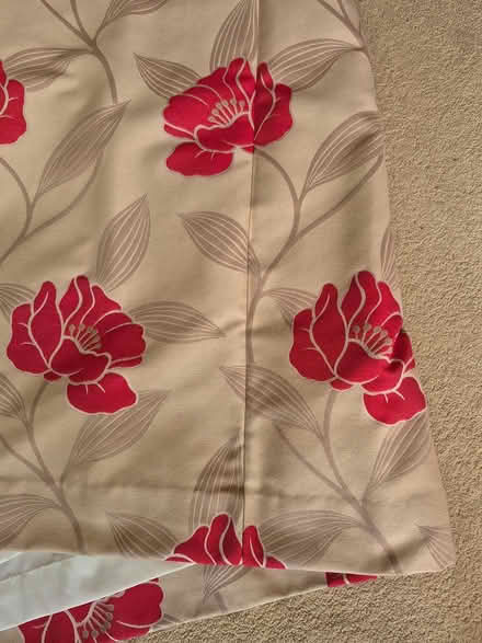 Photo of free Fully Lined Long Curtains (CT4) #3