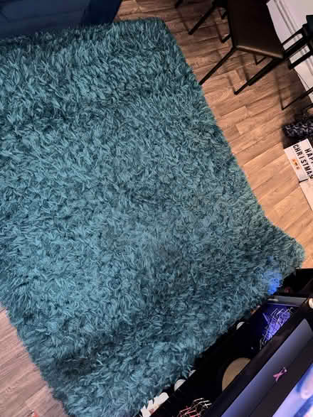 Photo of free Dark green rug (Shepherds Bush W12) #1