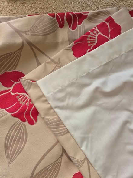 Photo of free Fully Lined Long Curtains (CT4) #4