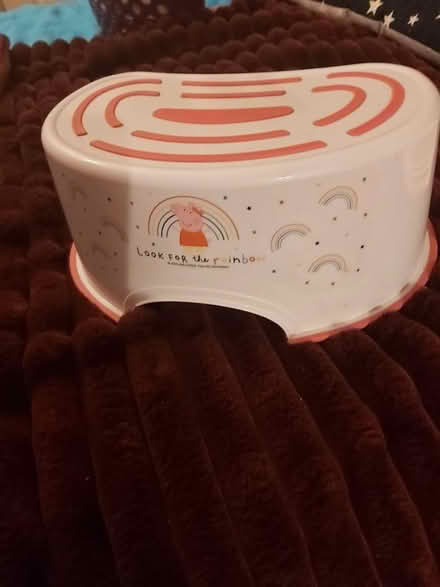 Photo of free Toddler step (YO11 Falsgrave area) #1