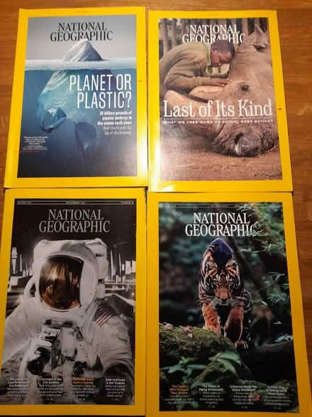 Photo of free National Geographic Magazines (Bevendean BN2) #1