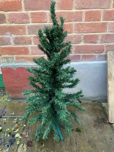 Photo of free Small Xmas tree (Epsom KT18) #1