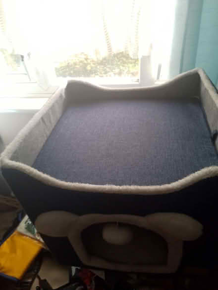Photo of free Catism cat bed (Mousehold NR3) #2