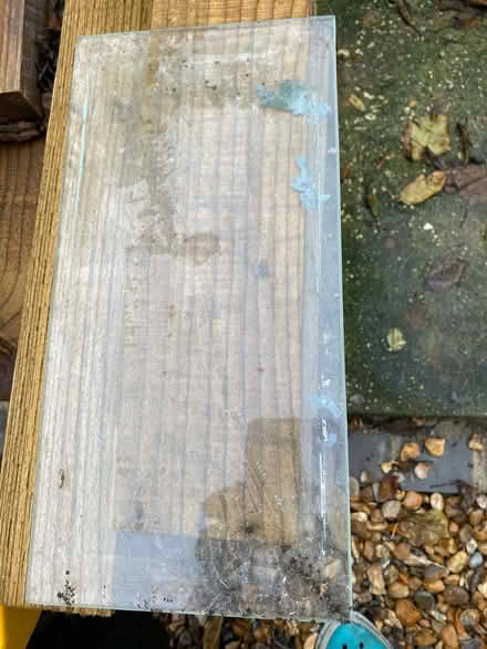Photo of free Glass shelving (SW20 Raynes Park) #1