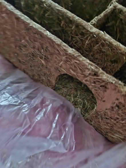 Photo of free Small rodent maze (RG302) #2