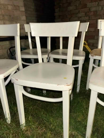 Photo of free Dining chairs (BN12 Goring) #2