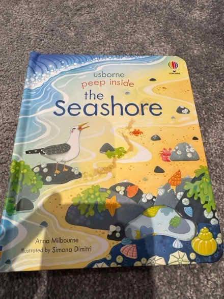 Photo of free Two bags of “good as new” books (berrylands KT5) #2