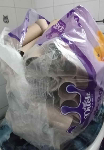 Photo of free Empty Toilet Roll Tubes (Belle Isle, LS10) #1