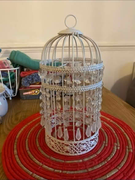 Photo of free Birdcage style ceiling lamp shade (Cheshunt En8) #1