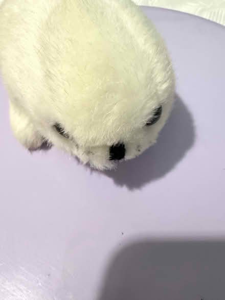 Photo of free Toy White Seal (Westbury Wilts BA13) #2