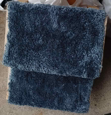 Photo of free Two-step Pet Stairs (Tacoma) #1