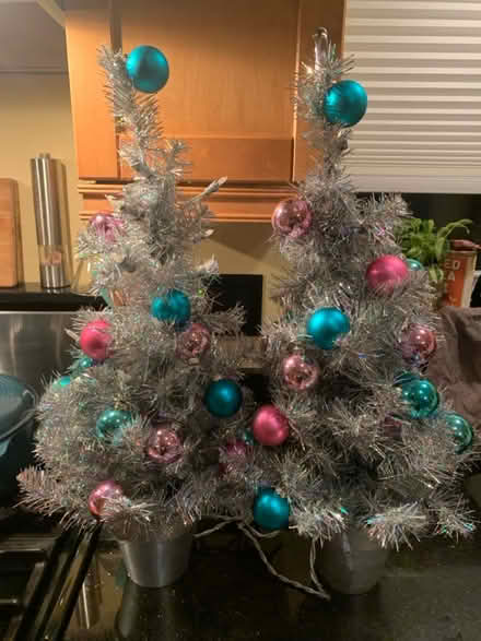 Photo of free Desktop Silver Christmas Trees (Arlington Mill Community Cntr) #1