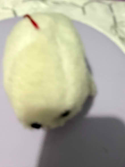 Photo of free Toy White Seal (Westbury Wilts BA13) #1