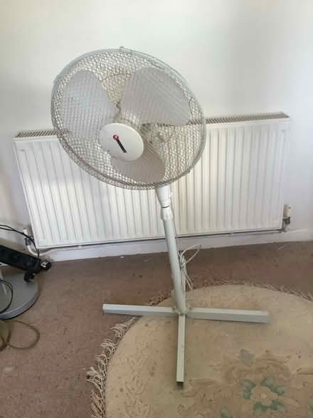 Photo of free floor fan (exmouth, EX8) #1
