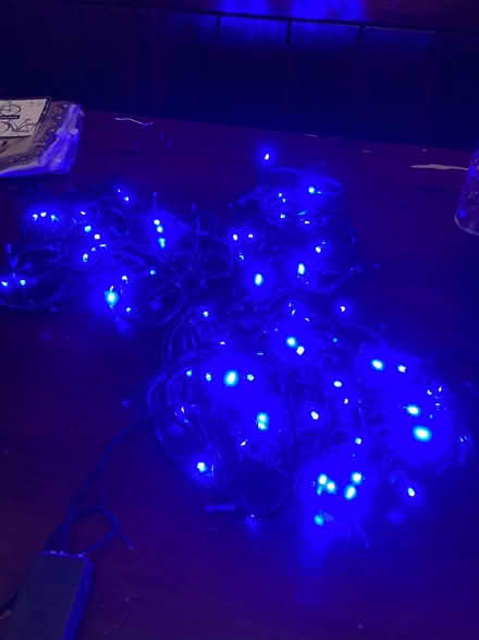 Photo of free Blue LED string lights (Balsall Heath B13) #1