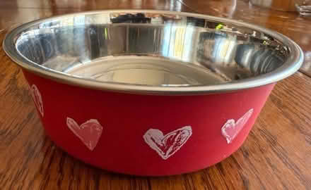 Photo of free Pet Bowl (Cupertino - DeAnza and 280) #1