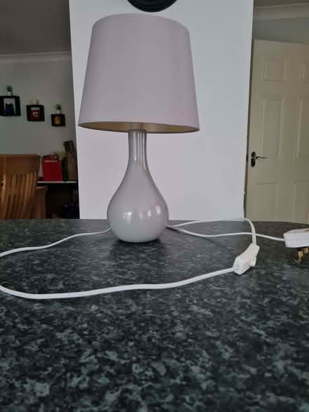 Photo of free Table lamp (Parson's Heath CO4) #1
