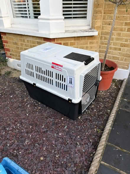 Photo of free Dog Crate (Twickenham TW1) #1