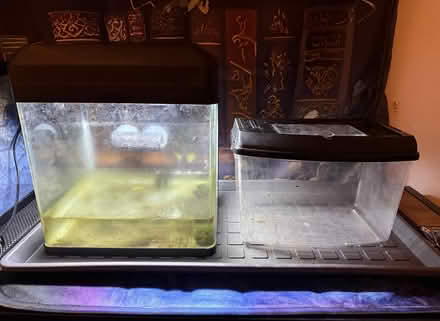 Photo of free Used fish tanks (Denton Burn) #2