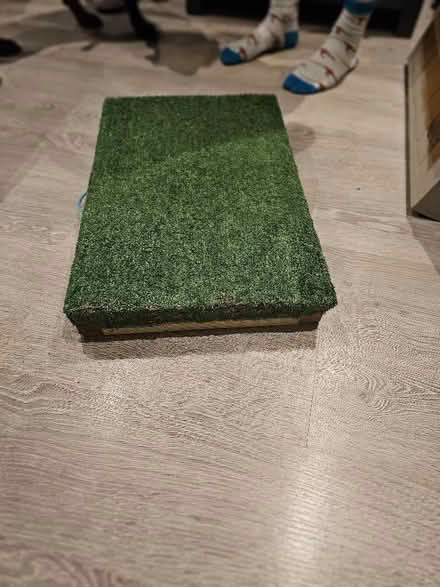 Photo of free Dog Board (Congleton CW12) #1