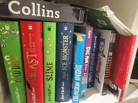 Photo of free Selection of kid's books (Catford) #1