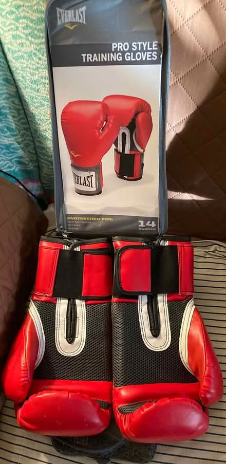 Photo of free 14oz Boxing Gloves (Crown Heights, Brooklyn 11225) #2
