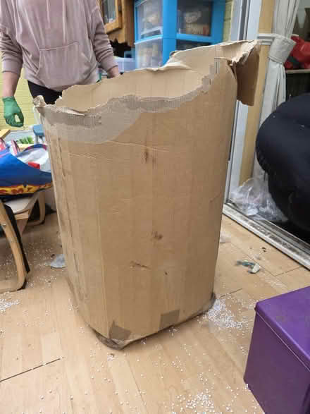 Photo of free Bean bags and beans (CH43 prenton) #2