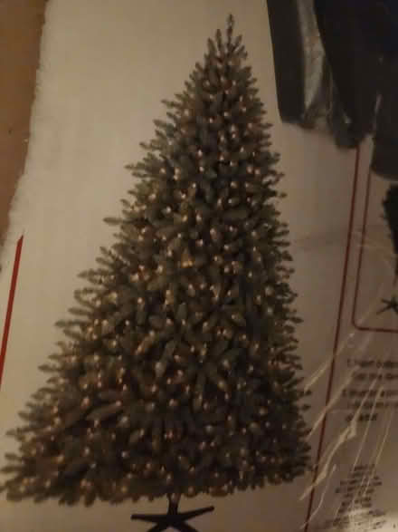 Photo of free Christmas Tree (By N Mines and East Ave) #1