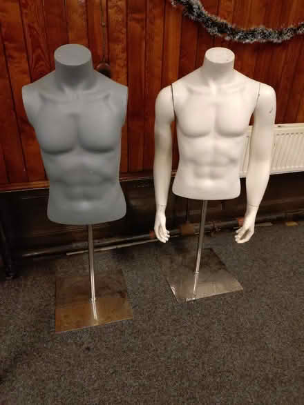 Photo of free 2 x male torso mannequin (Sharrow S11) #1