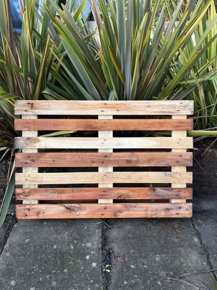 Photo of free Pallet (Harborne B17) #1