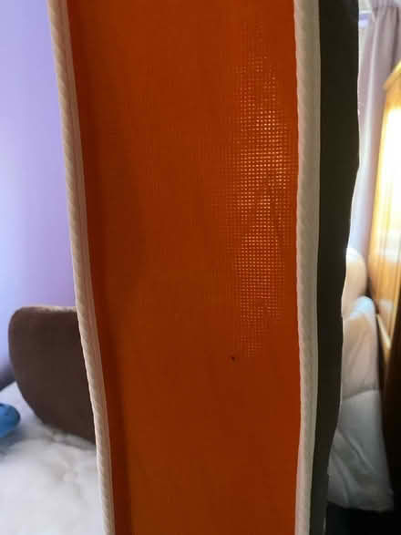 Photo of free Single Mattress (lanark) #2