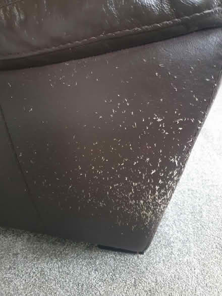 Photo of free Sofa (CM21, Sawbridgeworth) #3