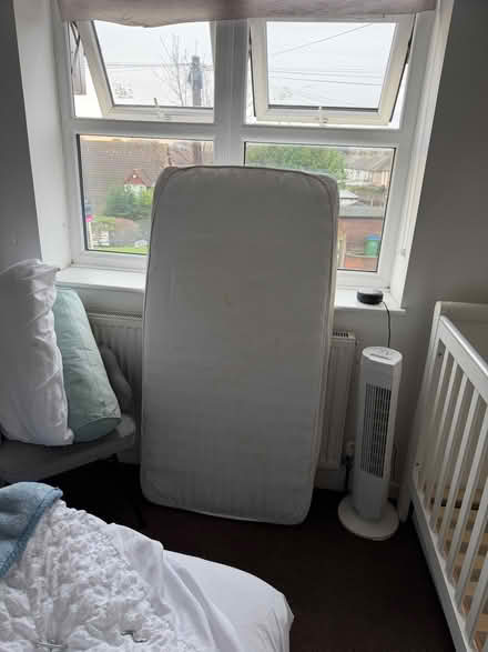 Photo of free Cot (Erith DA7) #2