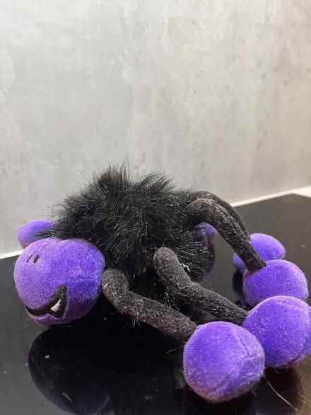 Photo of free Purple spider (Malvern Link WR14) #2