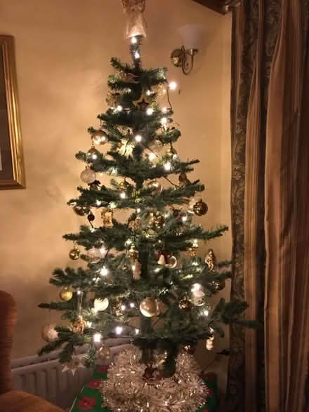 Photo of free Christmas Tree (Duffield DE56) #3