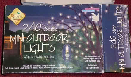 Photo of free Indoor/outdoor decorative lights (Downley HP13) #2