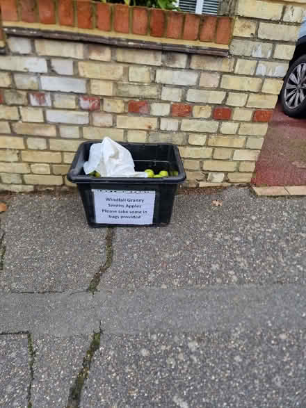 Photo of free Windfall Granny Smith Apples (Horace Road Billericay) #1