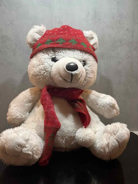 Photo of free Christmas Teddy (Malvern Link WR14) #1