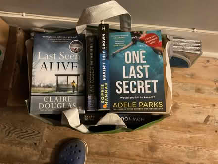 Photo of free Another bag of recent bestseller paperbacks (Clive Vale TN35) #1