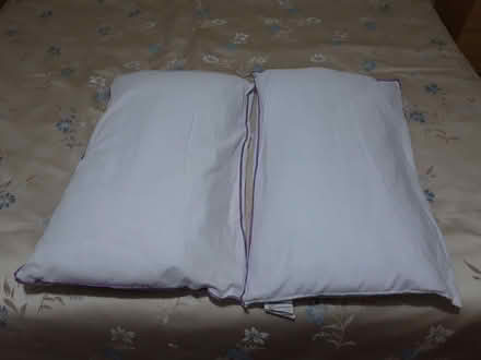 Photo of free Pair of pillows (Great Baddow CM2) #1