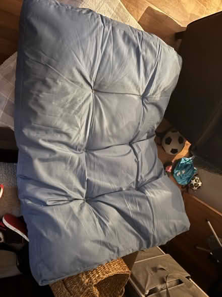 Photo of free XL dog bed (Chatham) #1