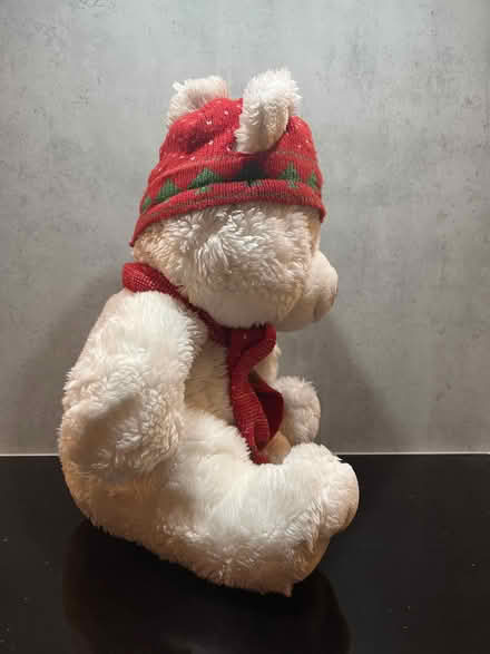 Photo of free Christmas Teddy (Malvern Link WR14) #2