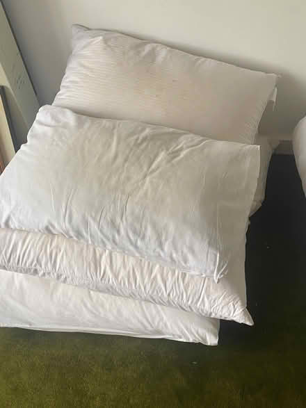 Photo of free 6 pillows (Iffley Road OX4) #1